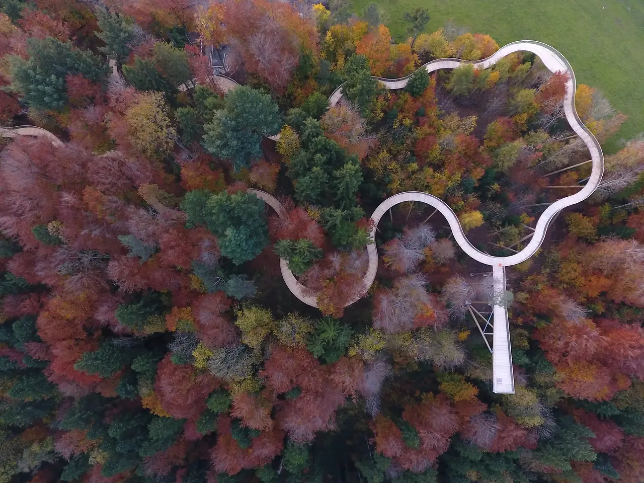 Switzerland's first treetop walkway 